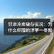 甘肃冷库储存实况:为什么你囤的洋芋一冬就烂,老板却能赚三年?(图3) 甘肃冷库储存实况:为什么你囤的洋芋一冬就烂,老板却能赚三年?(图3)