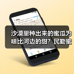沙漠里种出来的蜜瓜为啥比河边的甜?民勤蜜瓜果园实拍(图3) 沙漠里种出来的蜜瓜为啥比河边的甜?民勤蜜瓜果园实拍(图3)