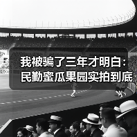 我被骗了三年才明白:民勤蜜瓜果园实拍到底看什么(图3) 我被骗了三年才明白:民勤蜜瓜果园实拍到底看什么(图3)