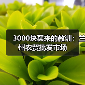 3000块买来的教训：兰州农贸批发市场