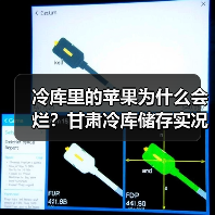 冷库里的苹果为什么会烂?甘肃冷库储存实况让我损失了8万块(图4) 冷库里的苹果为什么会烂?甘肃冷库储存实况让我损失了8万块(图4)