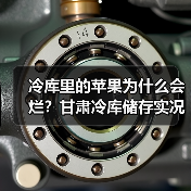 冷库里的苹果为什么会烂?甘肃冷库储存实况让我损失了8万块(图2) 冷库里的苹果为什么会烂?甘肃冷库储存实况让我损失了8万块(图2)
