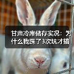 甘肃冷库储存实况：为什么我踩了3次坑才搞明白？