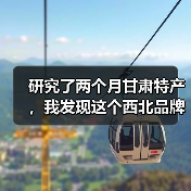 研究了两个月甘肃特产,我发现这个西北品牌困局(图4) 研究了两个月甘肃特产,我发现这个西北品牌困局(图4)
