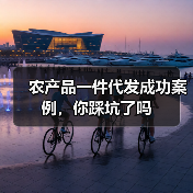 农产品一件代发成功案例，你踩坑了吗（图3）