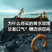 为什么你买的苦水玫瑰总差口气？聊透供应商那些事