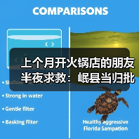 上个月开火锅店的朋友半夜求救:岷县当归批发(图3) 上个月开火锅店的朋友半夜求救:岷县当归批发(图3)