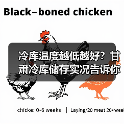 冷库温度越低越好？甘肃冷库储存实况告诉你真相