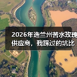 2026年选兰州苦水玫瑰供应商,我踩过的坑比花还多(图4) 2026年选兰州苦水玫瑰供应商,我踩过的坑比花还多(图4)