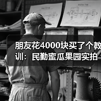 朋友花4000块买了个教训：民勤蜜瓜果园实拍（图2）