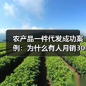 农产品一件代发成功案例:为什么有人月销3000单而有人踩坑跑路?(图3) 农产品一件代发成功案例:为什么有人月销3000单而有人踩坑跑路?(图3)