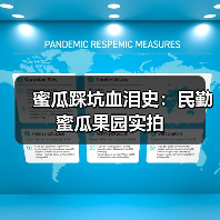 蜜瓜踩坑血泪史:民勤蜜瓜果园实拍(图4) 蜜瓜踩坑血泪史:民勤蜜瓜果园实拍(图4)
