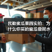 民勤蜜瓜果园实拍：为什么你买的蜜瓜像喝水一样没味？