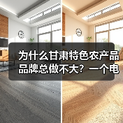 为什么甘肃特色农产品品牌总做不大？一个电商人的自白（图4）