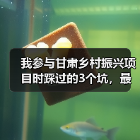我参与甘肃乡村振兴项目时踩过的3个坑，最后一个最致命