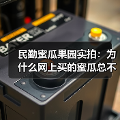 民勤蜜瓜果园实拍：为什么网上买的蜜瓜总不甜？（图3）