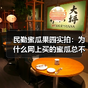 民勤蜜瓜果园实拍：为什么网上买的蜜瓜总不甜？