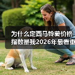 为什么定西马铃薯价格指数是我2026年最看重的指标？（图3）