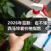 2026年最新:看不懂定西马铃薯价格指数,你可能会亏一笔(图2) 2026年最新:看不懂定西马铃薯价格指数,你可能会亏一笔(图2)