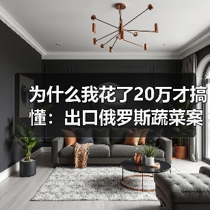 为什么我花了20万才搞懂：出口俄罗斯蔬菜案例（图3）