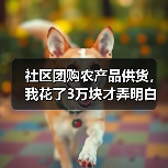 社区团购农产品供货，我花了3万块才弄明白这件事