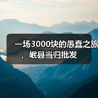 一场3000块的愚蠢之旅，岷县当归批发