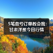 5笔血亏订单教会我：甘肃洋葱今日行情