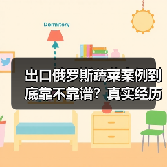 出口俄罗斯蔬菜案例到底靠不靠谱？真实经历告诉你（图2）