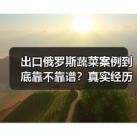 出口俄罗斯蔬菜案例到底靠不靠谱？真实经历告诉你