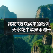 我花3万块买来的教训:天水花牛苹果采购千万别走这弯路(图3) 我花3万块买来的教训:天水花牛苹果采购千万别走这弯路(图3)