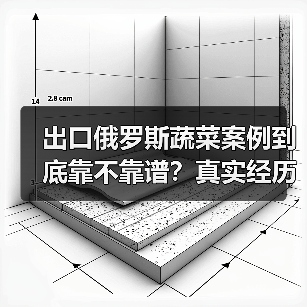 出口俄罗斯蔬菜案例到底靠不靠谱？真实经历告诉你（图4）