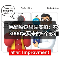 民勤蜜瓜果园实拍：花3000块买来的5个教训