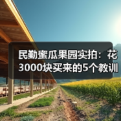 民勤蜜瓜果园实拍:花3000块买来的5个教训(图2) 民勤蜜瓜果园实拍:花3000块买来的5个教训(图2)