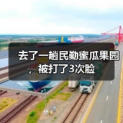 去了一趟民勤蜜瓜果园，被打了3次脸