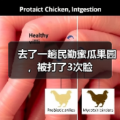去了一趟民勤蜜瓜果园，被打了3次脸（图3）