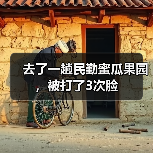 去了一趟民勤蜜瓜果园，被打了3次脸（图2）