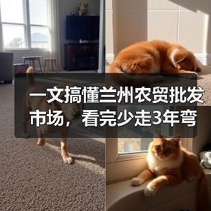 一文搞懂兰州农贸批发市场，看完少走3年弯路