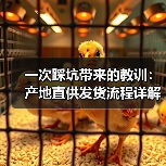 一次踩坑带来的教训：产地直供发货流程详解