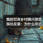 我的甘肃乡村振兴项目踩坑实录：为什么你总做不成？（图3）