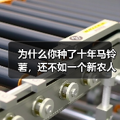 为什么你种了十年马铃薯，还不如一个新农人赚得多？定西马铃薯价格指数揭秘（图3）