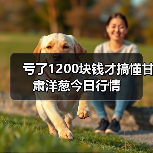 亏了1200块钱才搞懂甘肃洋葱今日行情（图3）