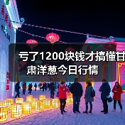 亏了1200块钱才搞懂甘肃洋葱今日行情