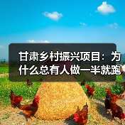 甘肃乡村振兴项目:为什么总有人做一半就跑了?(图2) 甘肃乡村振兴项目:为什么总有人做一半就跑了?(图2)