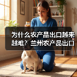 为什么农产品出口越来越难？兰州农产品出口动态里的三个盲区（图4）
