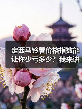 定西马铃薯价格指数能让你少亏多少？我来讲个踩坑的故事（图4）
