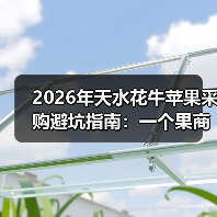 2026年天水花牛苹果采购避坑指南：一个果商的血泪史（图4）
