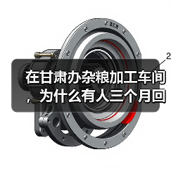 在甘肃办杂粮加工车间,为什么有人三个月回本有人亏到关门?(图4) 在甘肃办杂粮加工车间,为什么有人三个月回本有人亏到关门?(图4)