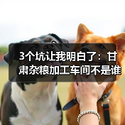 3个坑让我明白了：甘肃杂粮加工车间不是谁都能干好的