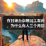 在甘肃办杂粮加工车间,为什么有人三个月回本有人亏到关门?(图3) 在甘肃办杂粮加工车间,为什么有人三个月回本有人亏到关门?(图3)