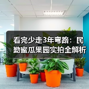 看完少走3年弯路:民勤蜜瓜果园实拍全解析(图3) 看完少走3年弯路:民勤蜜瓜果园实拍全解析(图3)